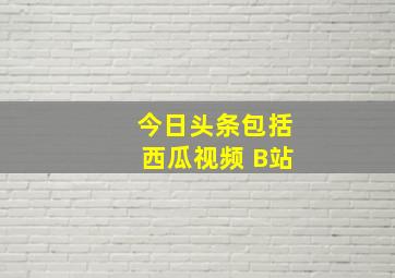 今日头条包括西瓜视频 B站